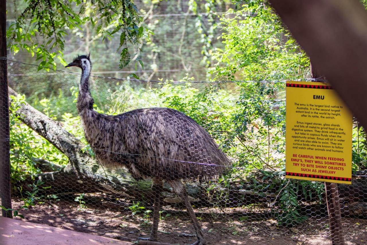 グッダーソン ドゥマズル ロッジ アンド トラディッショナル ビレッジ フルフルウェ エクステリア 写真
